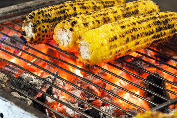 Sweet corn on charcoal bbq