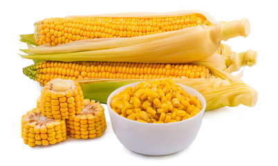 Corn on a white background