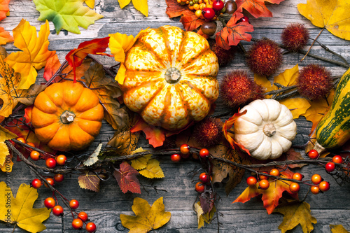Herbst Hintergrund Mit Herbst Blatter Herbstlaub Und Kurbisse Halloween Deko Buy This Stock Photo And Explore Similar Images At Adobe Stock Adobe Stock Von essbaren kürbissen zum kochen bis zum gerade, wenn sich das jahr dem ende zuneigt und der herbst auf dem vormarsch ist, fallen einige. herbstlaub und kurbisse halloween deko