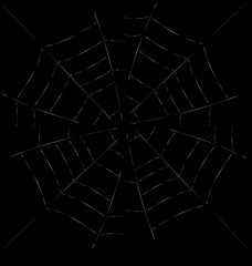 Trap Spider Web