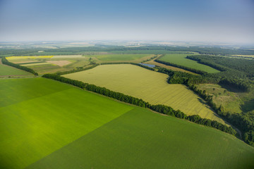 Wall Mural - aerial view above the green fields