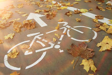 Autumn Bike Park