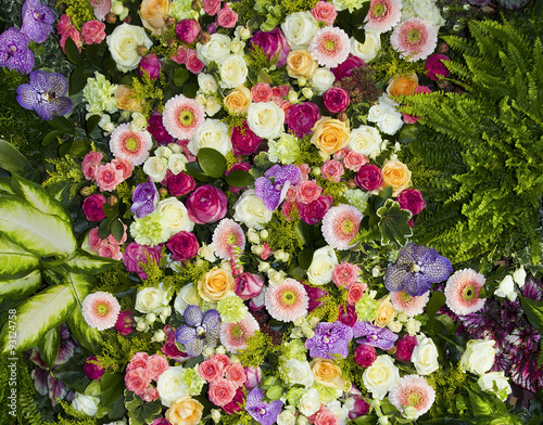 plantas y flores