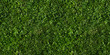 Beautiful seamless tiled green grass texture