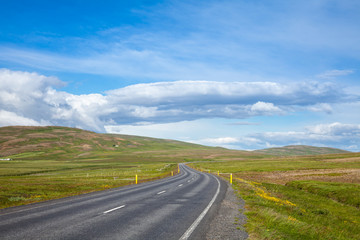 Wall Mural - Winding road in Iceland