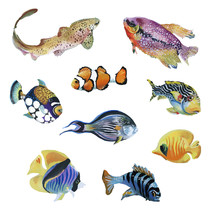 Marine Life Watercolor Set With Tropical Fish 