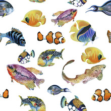 Marine Life Watercolor Seamless Pattern With Tropical Fish 