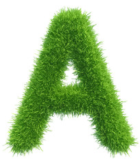 Poster - Vector capital letter A from grass on white background