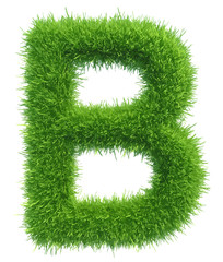 Poster - Vector capital letter B from grass on white background