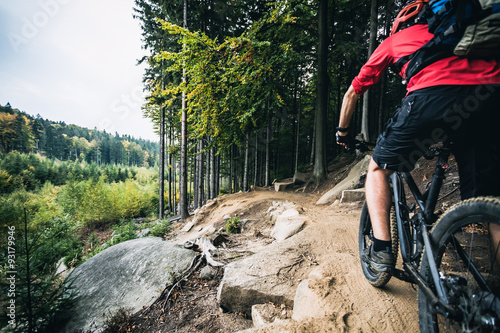 Fotografia, Obraz  Mountain biker riding cycling in autumn forest