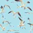 seamless texture with a flock of seagulls flying