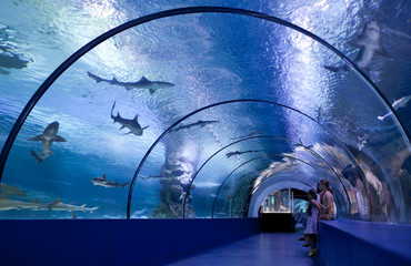 children in a water tunnel