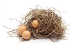 three chicken eggs in the bird nest on white background