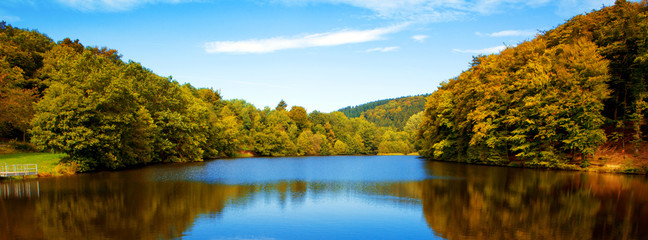 Wall Mural - lake in the autumn forest with reflection.