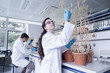© Westend61 - Lab technician examining wheat plant