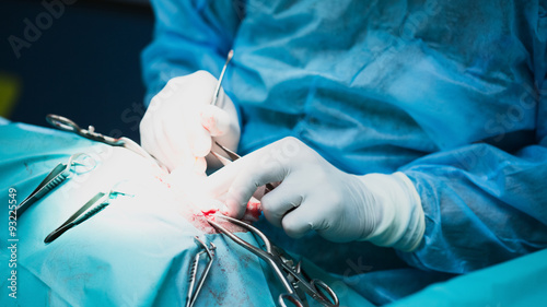 Fotomural Dog Surgery at a Vet Clinic