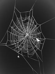 web