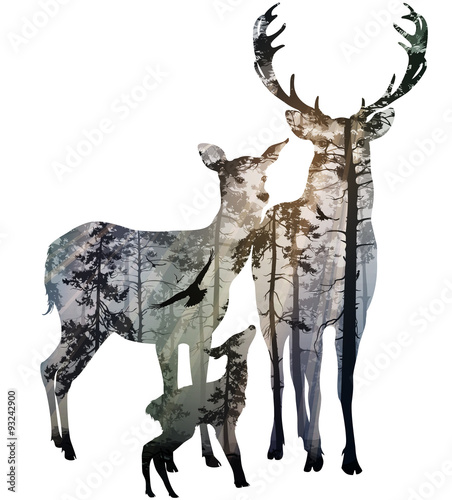 Plakat na zamówienie deer family