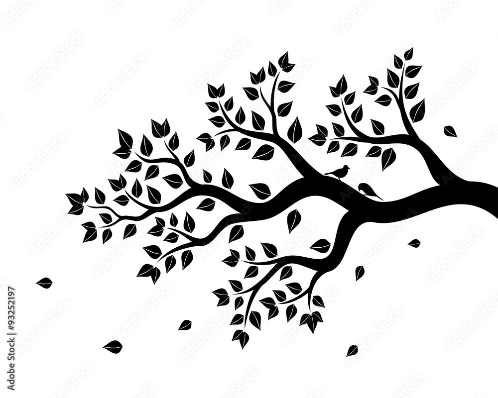 Vector illustration of tree branch with leaves in black color on white  background Stock Vector | Adobe Stock, image size:1000x800