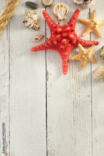 Naklejka - mata magnetyczna na lodówkę seashell on wooden background