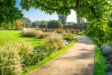 road in the beautiful garden