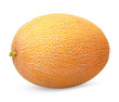© Valentina R. - Melon isolated