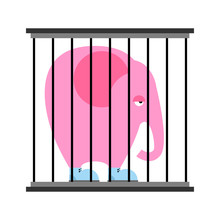 Sad Pink Elephant In Cage. Animal In Zoo Behind Bars. Big Beast