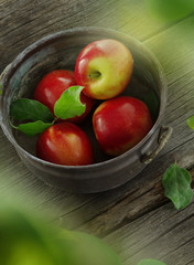 Wall Mural - apples