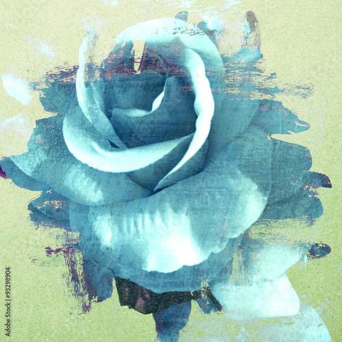 Fototapeta do kuchni Vintage rose painted with brush stroke on wall background