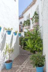 Wall Mural - Mijas Street