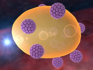 Human Papillomavirus, HPV type 16 (PDB 3J6R) which causes cancer of cervix of uteri attacking a cell (HPV) on colorful background