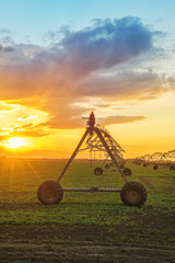 Wall Mural - Automated farming irrigation system in sunset