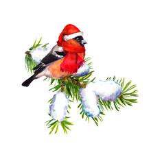 Vintage Greeting Card With Retro Painted Bullfinch In Red Hat