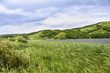 © igor16buschin - The surface of the lake. The surface of a mountain lake on a windy day .