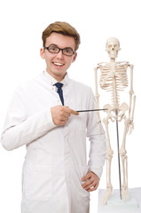 Wall Mural - Funny doctor with skeleton isolated on white