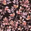 Watercolor seamless pattern with Dog Rose branches