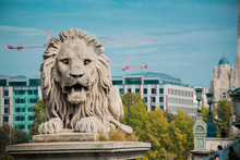 Lion Statue At The Chain Bridge, Budapest, Hungary
