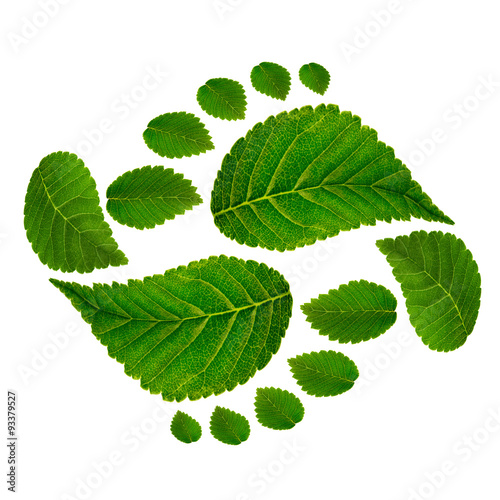 Footprint ying jang  sign Wallpaper Mural