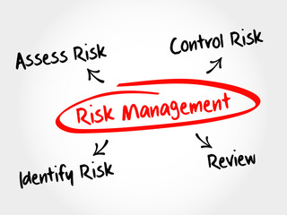 Risk management mind map flowchart business concept for presentations and reports