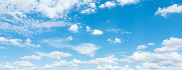 Wall Mural - bright sky and white cloud panorama