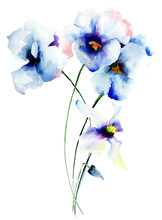 Blue Pansy Flowers