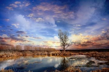 autumn landscape in nature