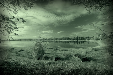 monochrome landscape nature park