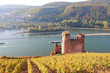 Der Rhein zwischen Rüdesheim und Assmannshausen. Vorne die Burg Ehrenfels, hinten Bingen. Auf der Insel der Mäuseturm. (Oktober 2015) 