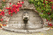 Red and green ivy cover the arch of an antique fountain