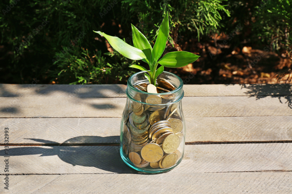 Plant growing in coins outside