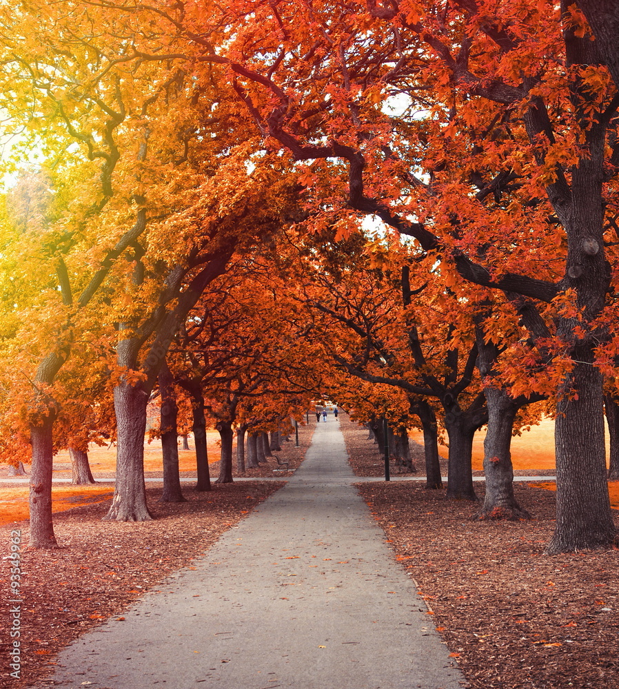 autumn-park
