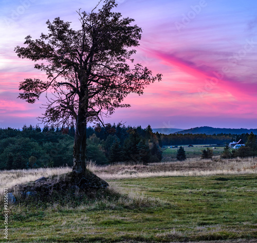 Naklejka na szybę Sunset Field