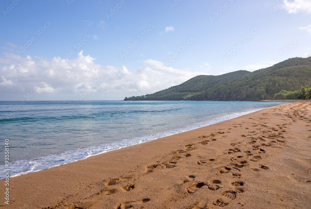 Photo Art Print Strand In Der Karibik Plage De La Grande