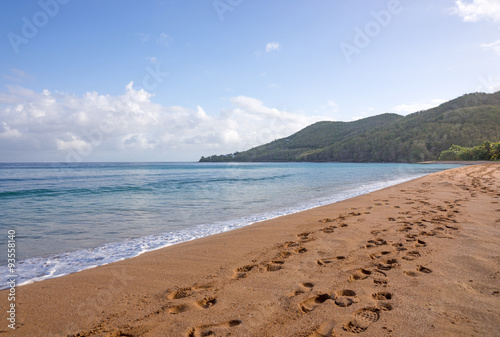 Strand In Der Karibik Plage De La Grande Anse In Deshaies